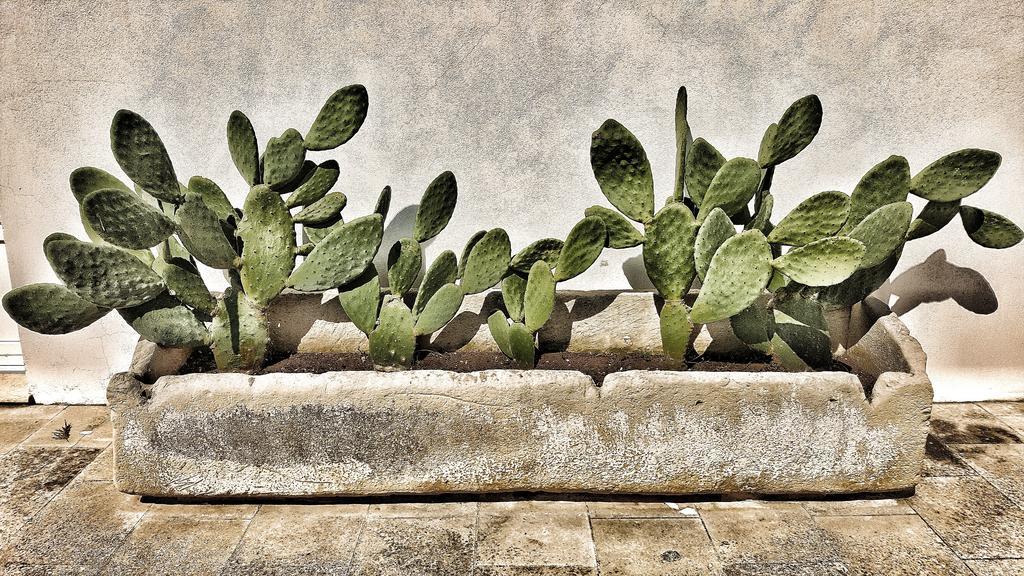 Masseria Carignani トゥーリエ エクステリア 写真